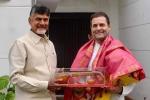 chandrababu-naidu-and-rahul-gandhi-veena