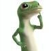 Geico_Balli